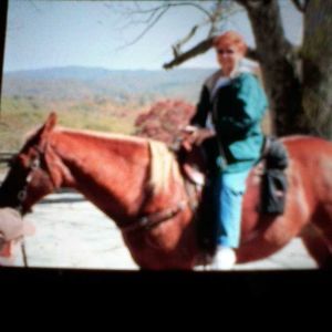 Meet your Posher, Peggy